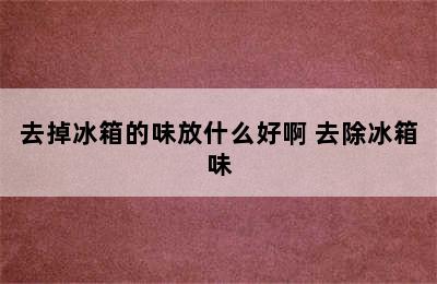 去掉冰箱的味放什么好啊 去除冰箱味